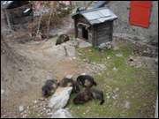 Click to display the file, DSC01612.jpg