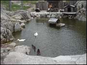 Click to display the file, DSC01619.jpg