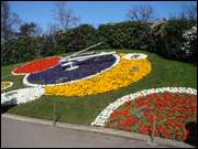 Click to display the file, DSC02942.jpg