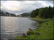 Click to display the file, DSC02645.jpg