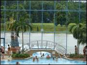 Click to display the file, DSC08006.jpg