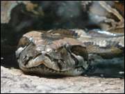 Click to display the file, DSC07193.jpg