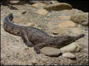 Click to display the file, DSC07198.jpg