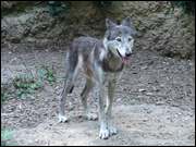 Click to display the file, DSC07212.jpg