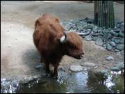 Click to display the file, DSC07213.jpg