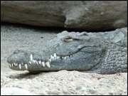 Click to display the file, DSC07218.jpg