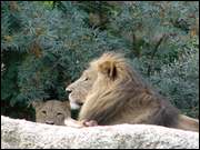 Click to display the file, DSC07219.jpg