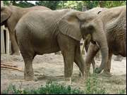 Click to display the file, DSC07228.jpg