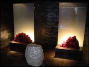 Click to display the file, DSCN4242.jpg