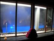 Click to display the file, DSCN4244.jpg