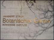 Click to display the file, DSC03046.jpg