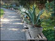 Click to display the file, DSC03057.jpg