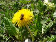 Click to display the file, DSC03058.jpg