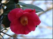 Click to display the file, DSC03059.jpg