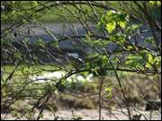 Click to display the file, DSC03061.jpg