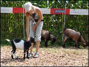 Click to display the file, DSC06999.jpg