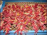 Click to display the file, DSC07588.jpg