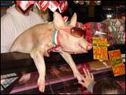 Click to display the file, DSC07589.jpg