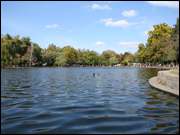 Click to display the file, DSC07619.jpg