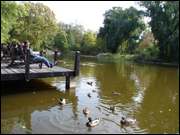 Click to display the file, DSC07634.jpg