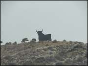 Click to display the file, DSC05962.jpg