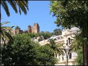 Click to display the file, IMG_1680.jpg