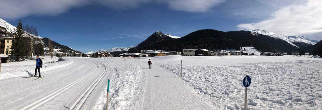 Click to display the file, DSC01881.jpg