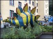 Click to display the file, IMG_5057.jpg