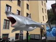 Click to display the file, IMG_5058.jpg