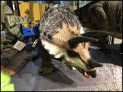 Click to display the file, IMG_5061.jpg