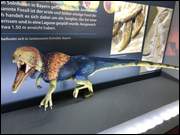 Click to display the file, IMG_5064.jpg