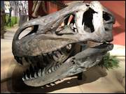 Click to display the file, IMG_5065.jpg