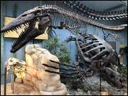 Click to display the file, IMG_5066.jpg