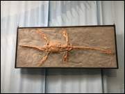 Click to display the file, IMG_5073.jpg