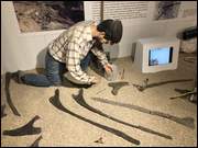 Click to display the file, IMG_5076.jpg