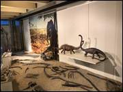 Click to display the file, IMG_5077.jpg