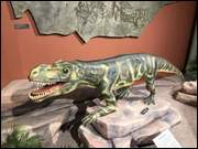 Click to display the file, IMG_5079.jpg