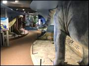 Click to display the file, IMG_5085.jpg