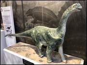 Click to display the file, IMG_5088.jpg