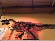 Click to display the file, IMG_5111.jpg