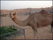 Click to display the file, DSC00274.jpg