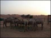 Click to display the file, DSC00276.jpg