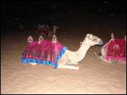 Click to display the file, DSC00279.jpg