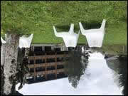 Click to display the file, DSC02571.jpg