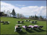 Click to display the file, IMG_9478.jpg