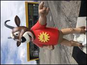 Click to display the file, IMG_9516.jpg