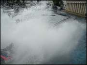 Click to display the file, DSCN0091.jpg