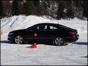 Click to display the file, DSC07884.jpg