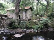 Click to display the file, Galizien_(051).jpg