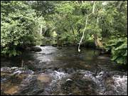 Click to display the file, Galizien_(059).jpg